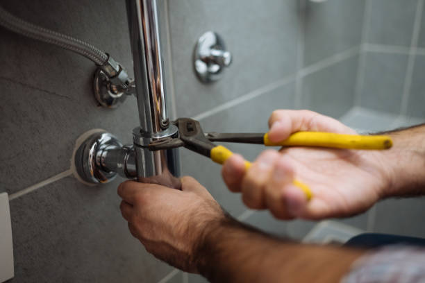 Best Local Plumber Services  in Applewood, CO